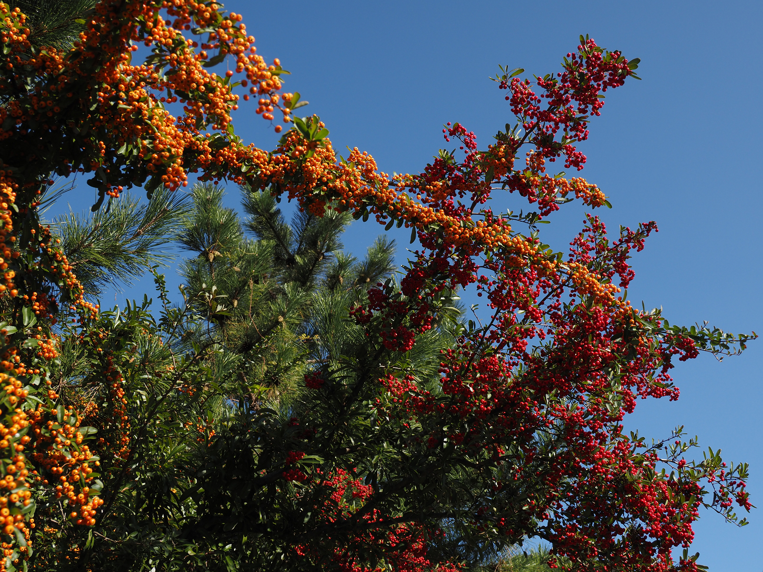 PA310018.jpg