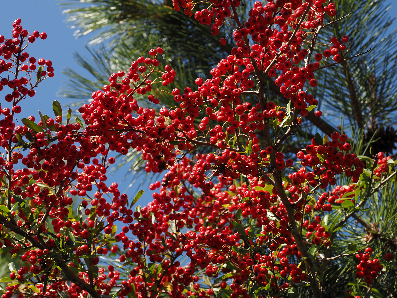 PA310019.jpg