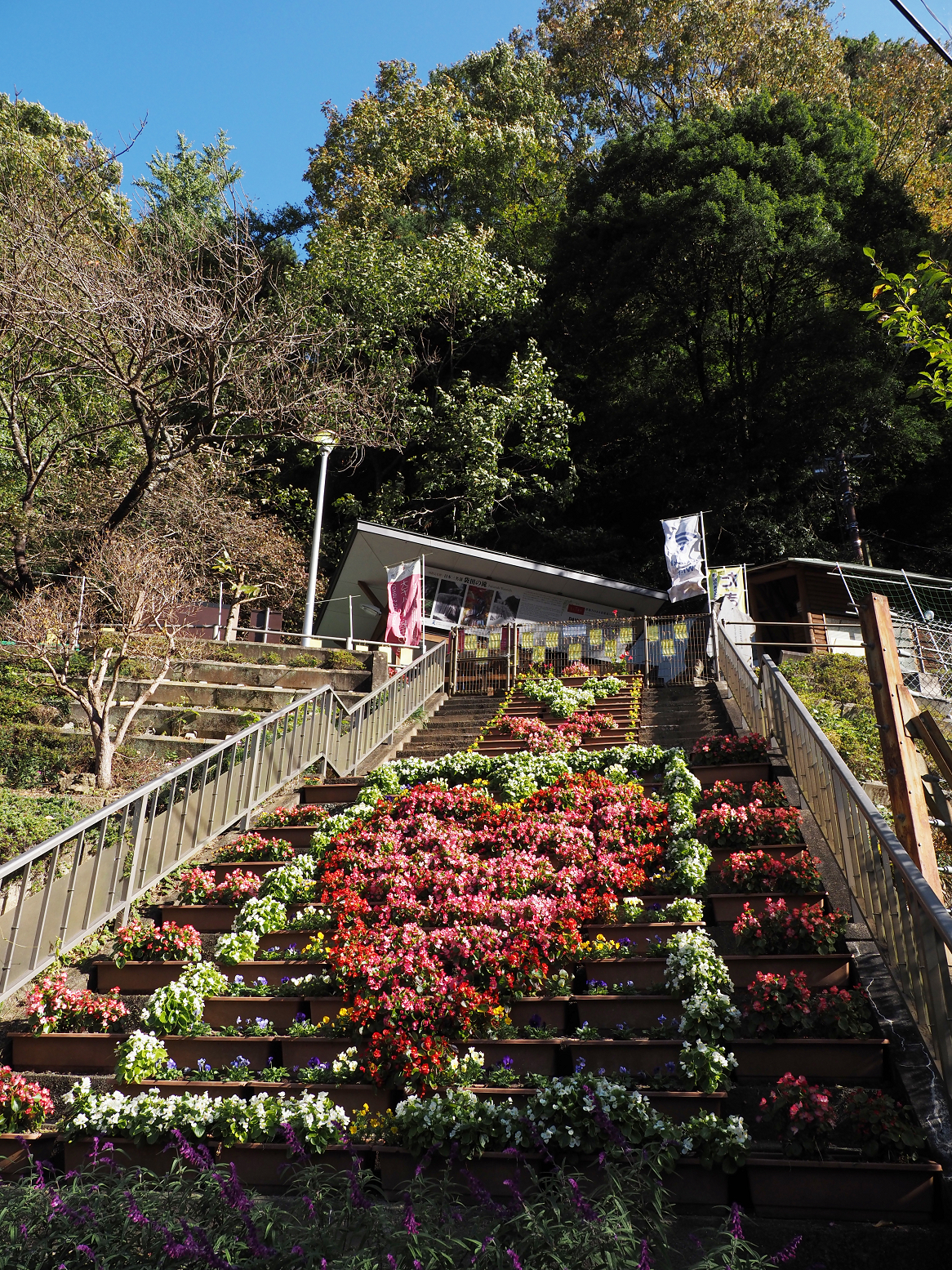 PA310025.jpg