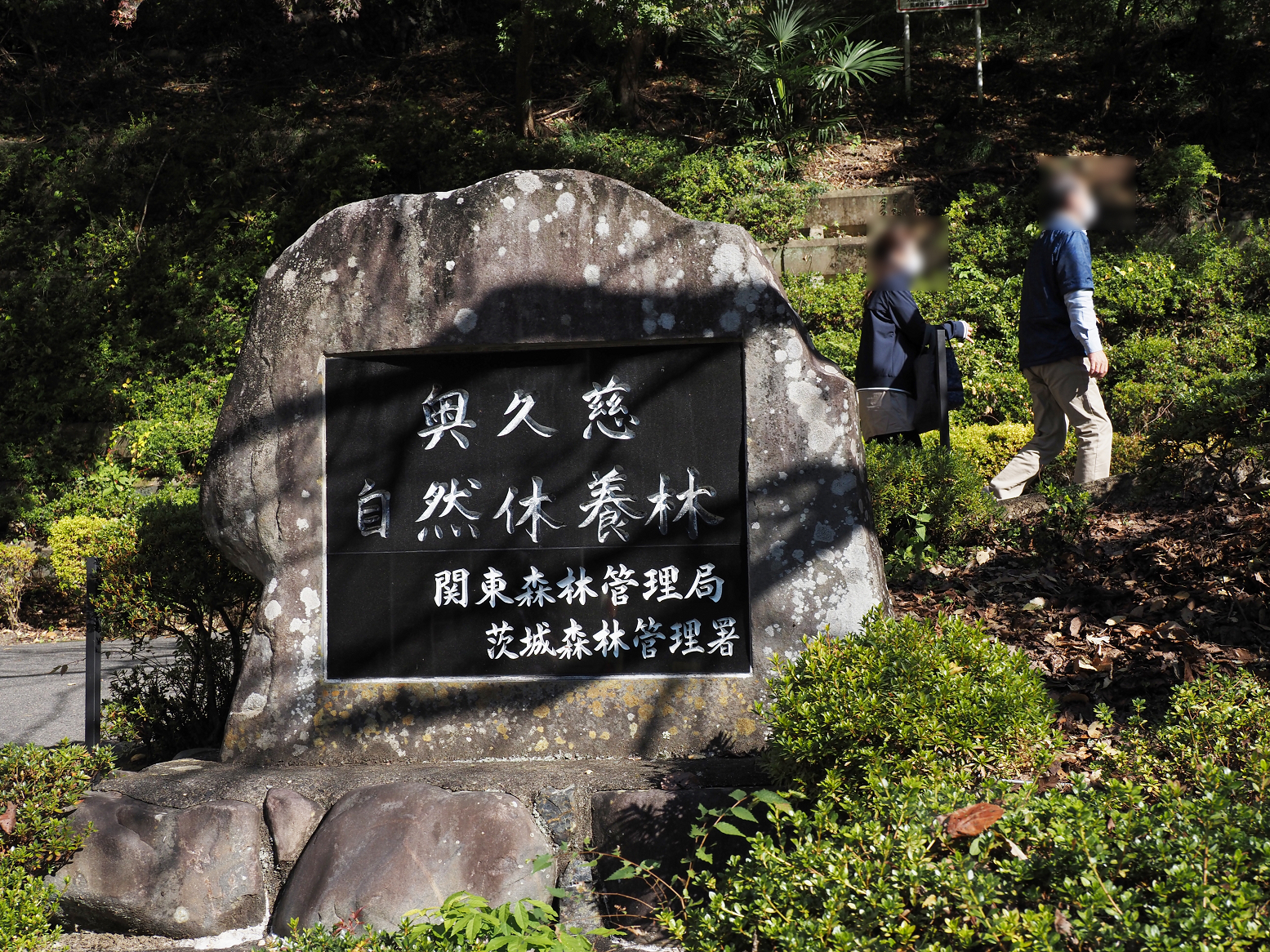 PA310026.jpg