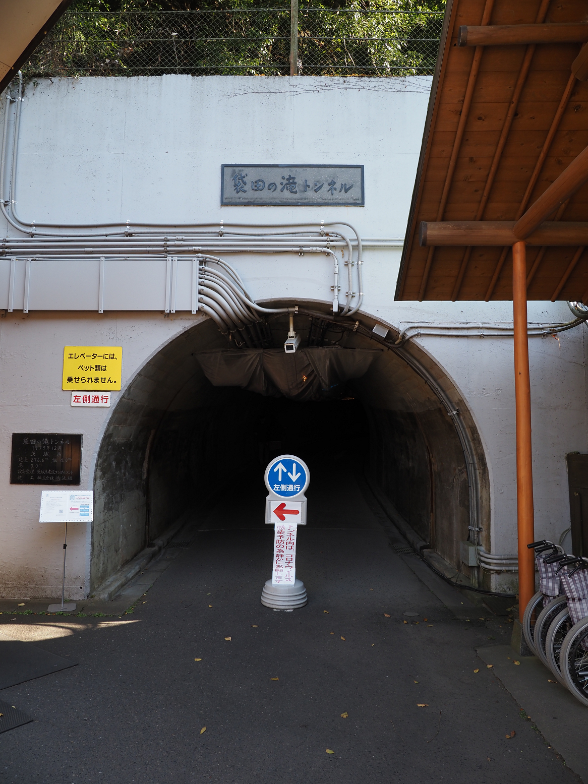PA310027.jpg