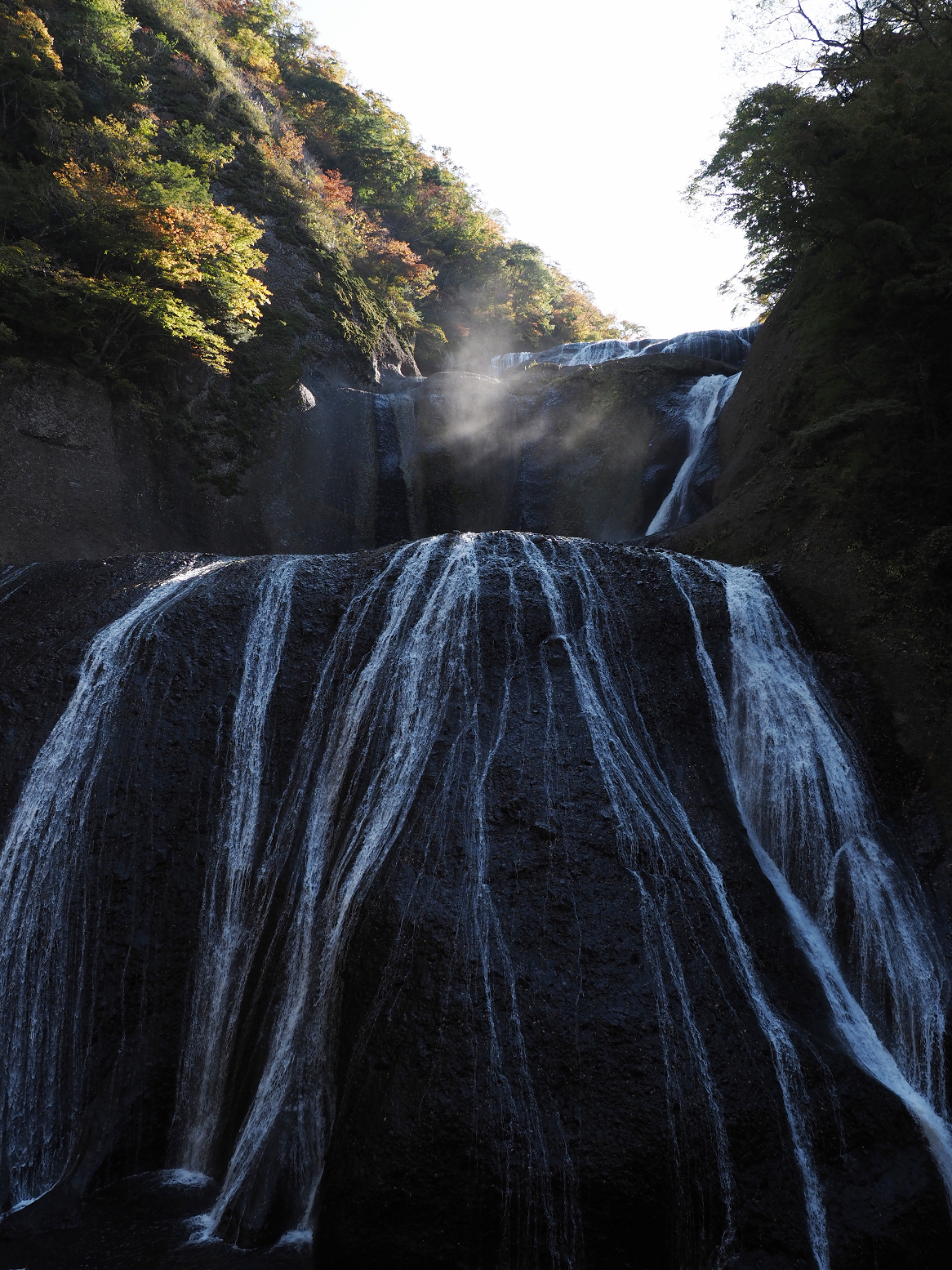 PA310036.jpg