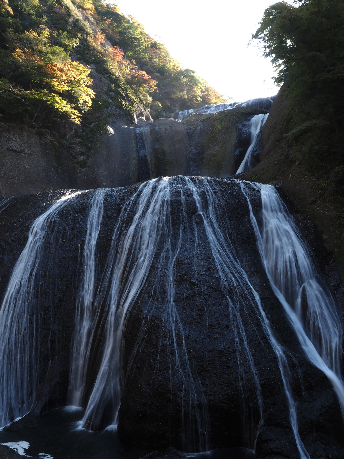 PA310039.jpg