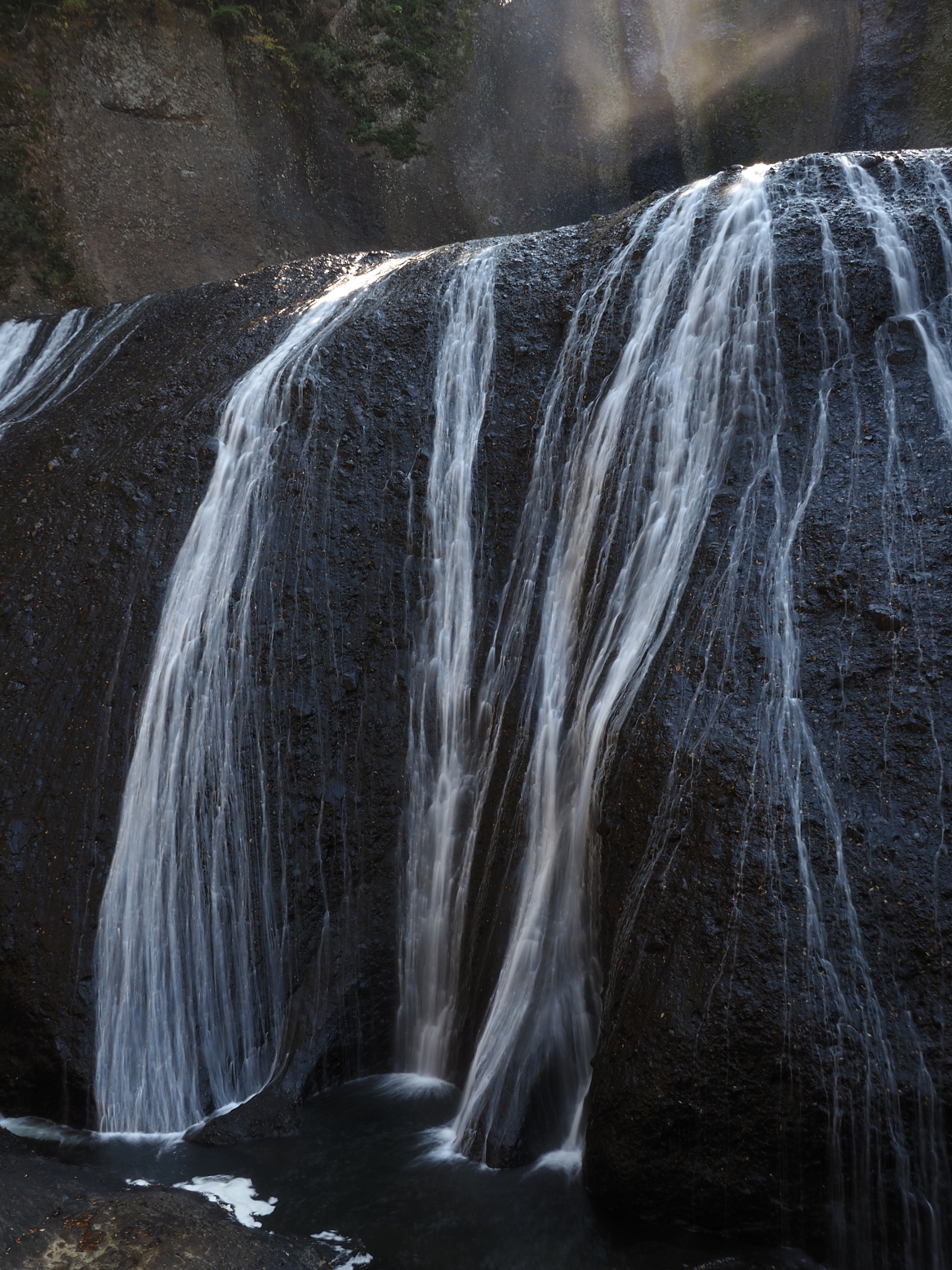 PA310040.jpg