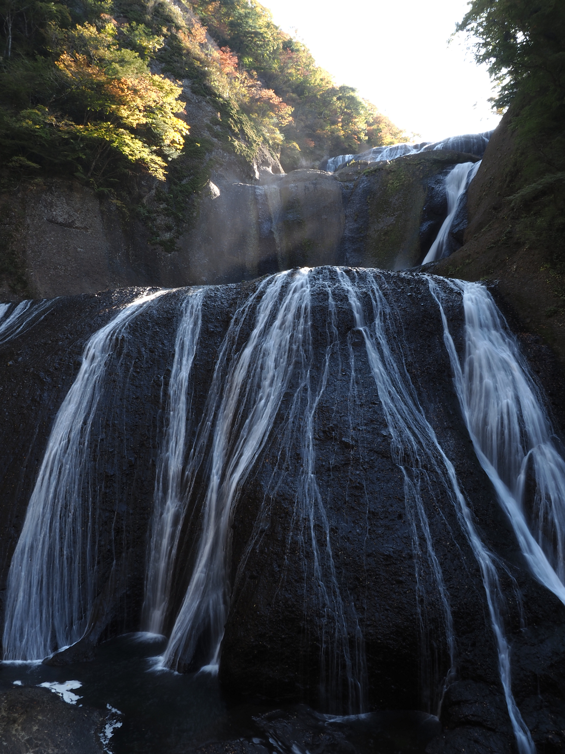 PA310041.jpg