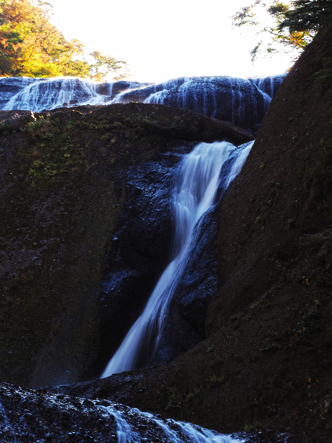 PA310042.jpg