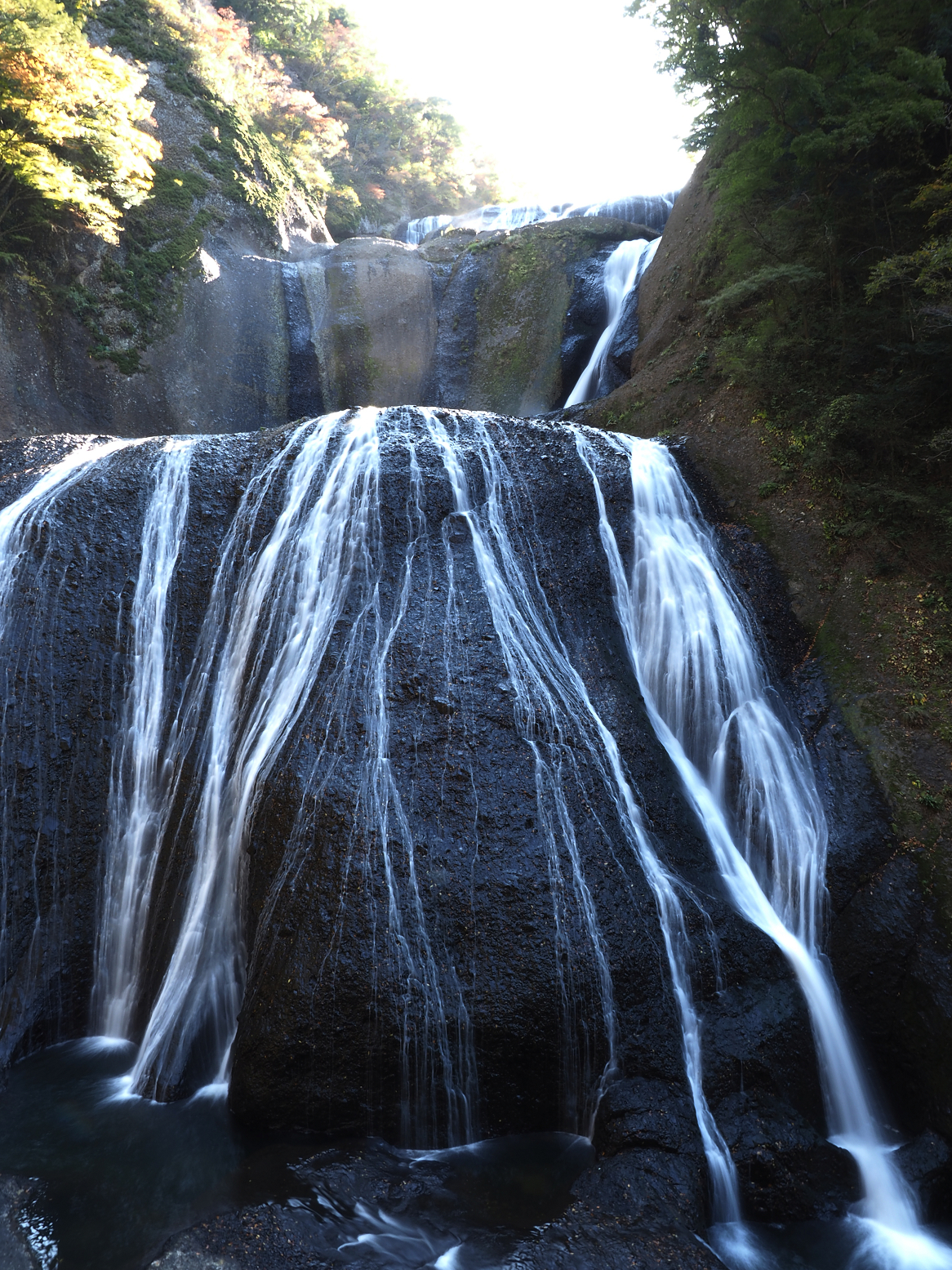PA310045.jpg