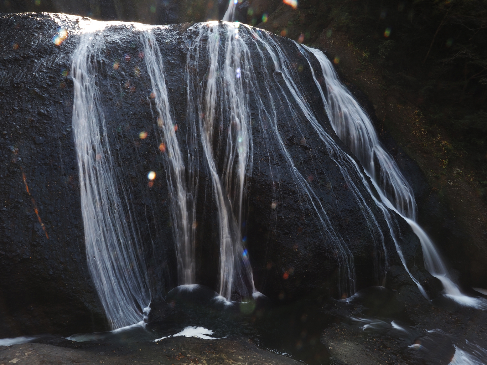 PA310050.jpg