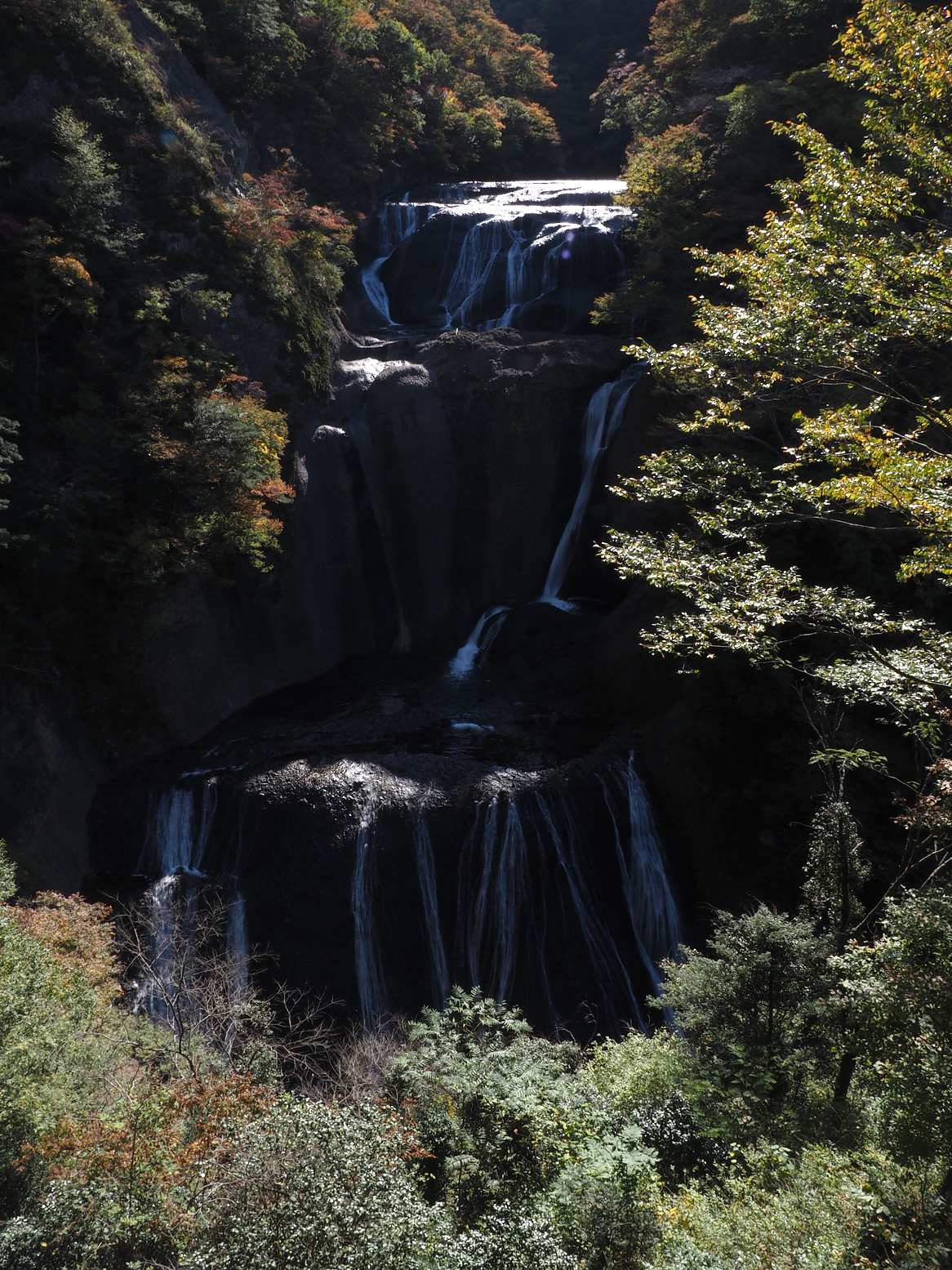 PA310056.jpg