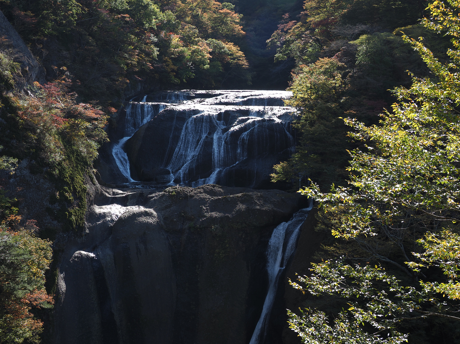 PA310060.jpg