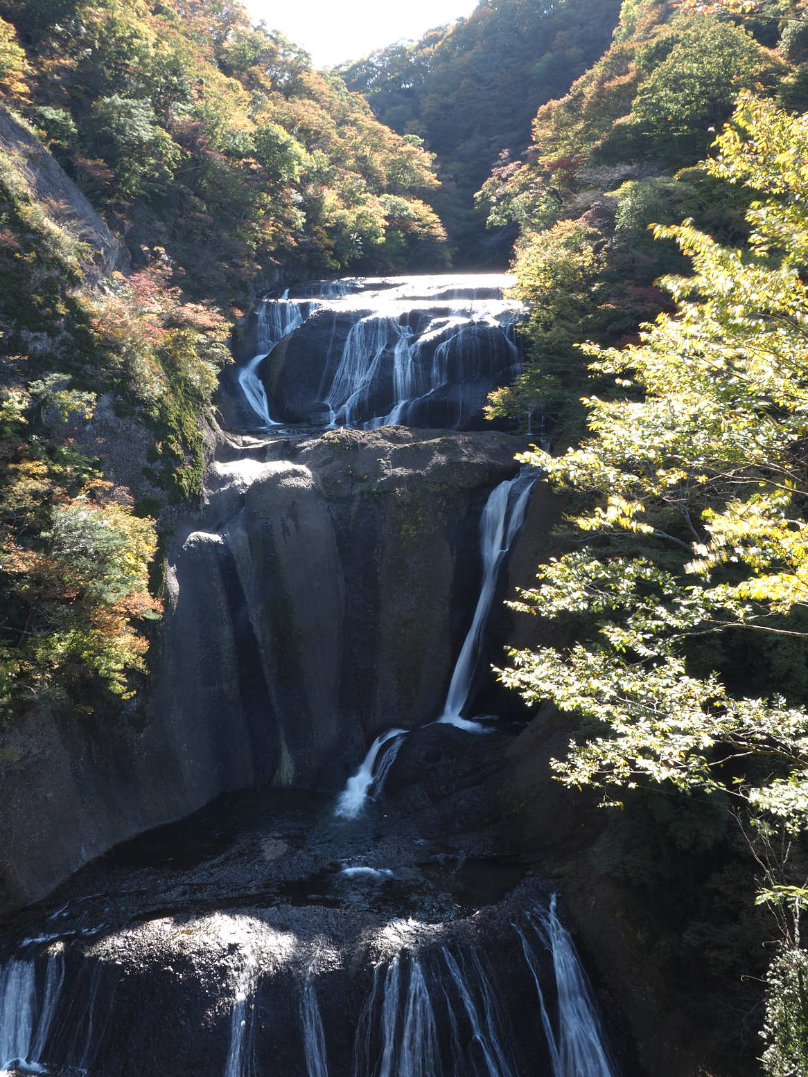 PA310063.jpg