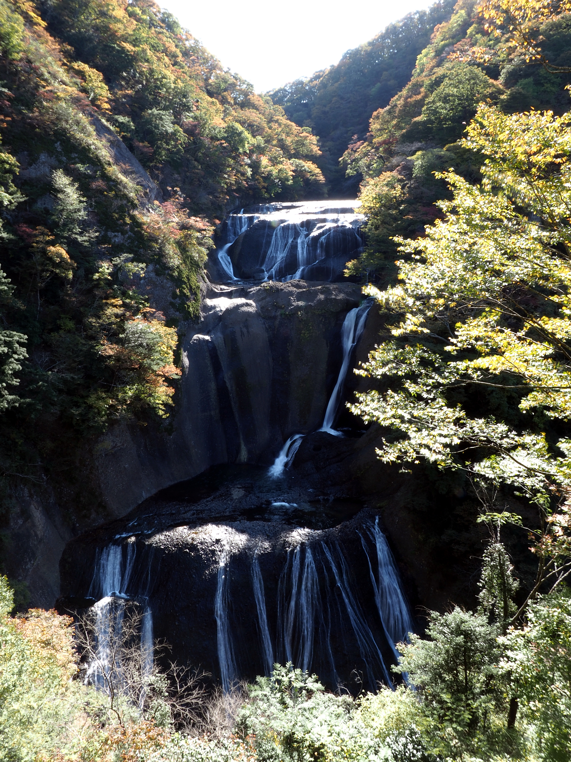 PA310065.jpg
