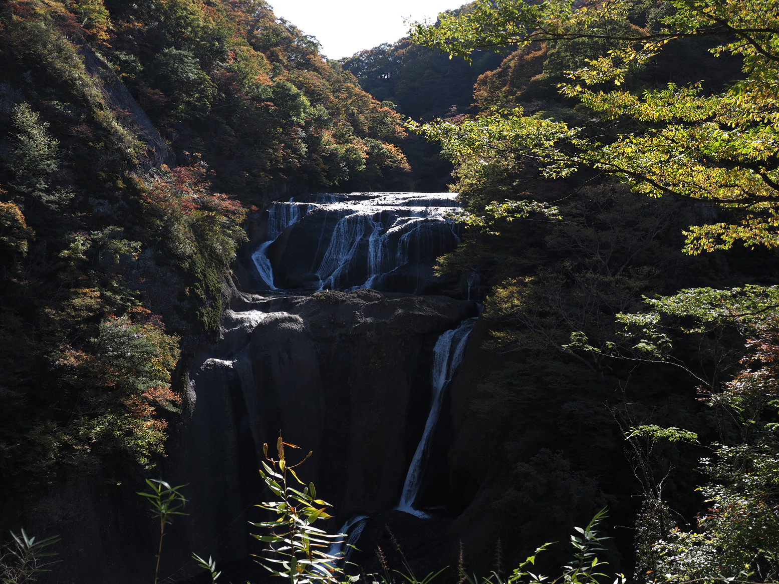 PA310069.jpg