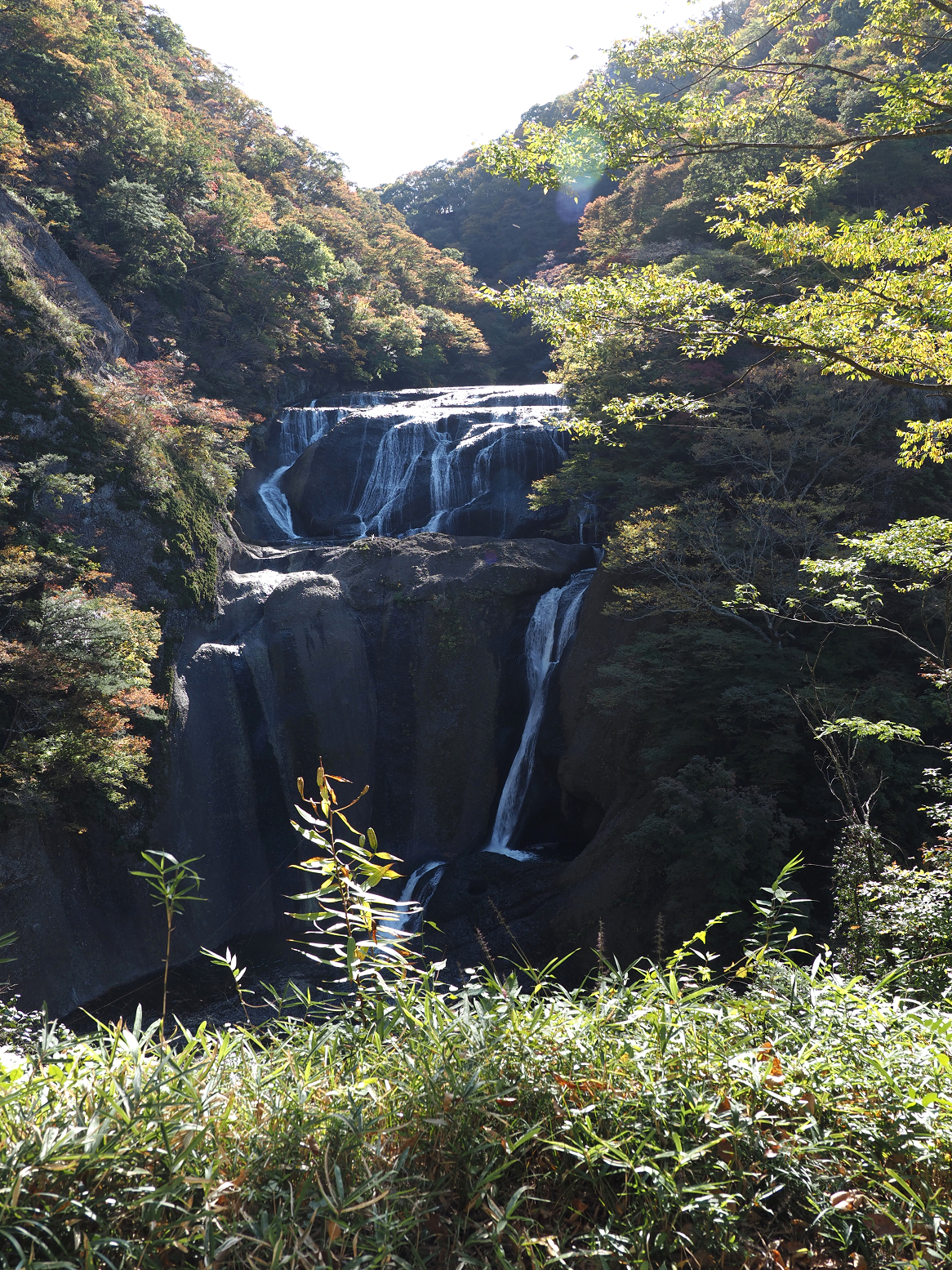 PA310070.jpg