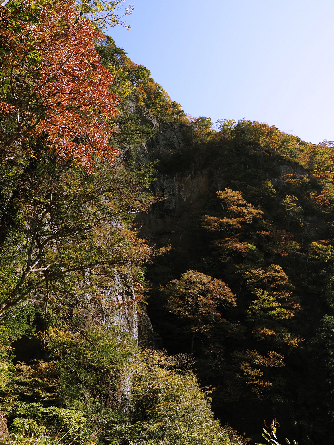 PA310071.jpg