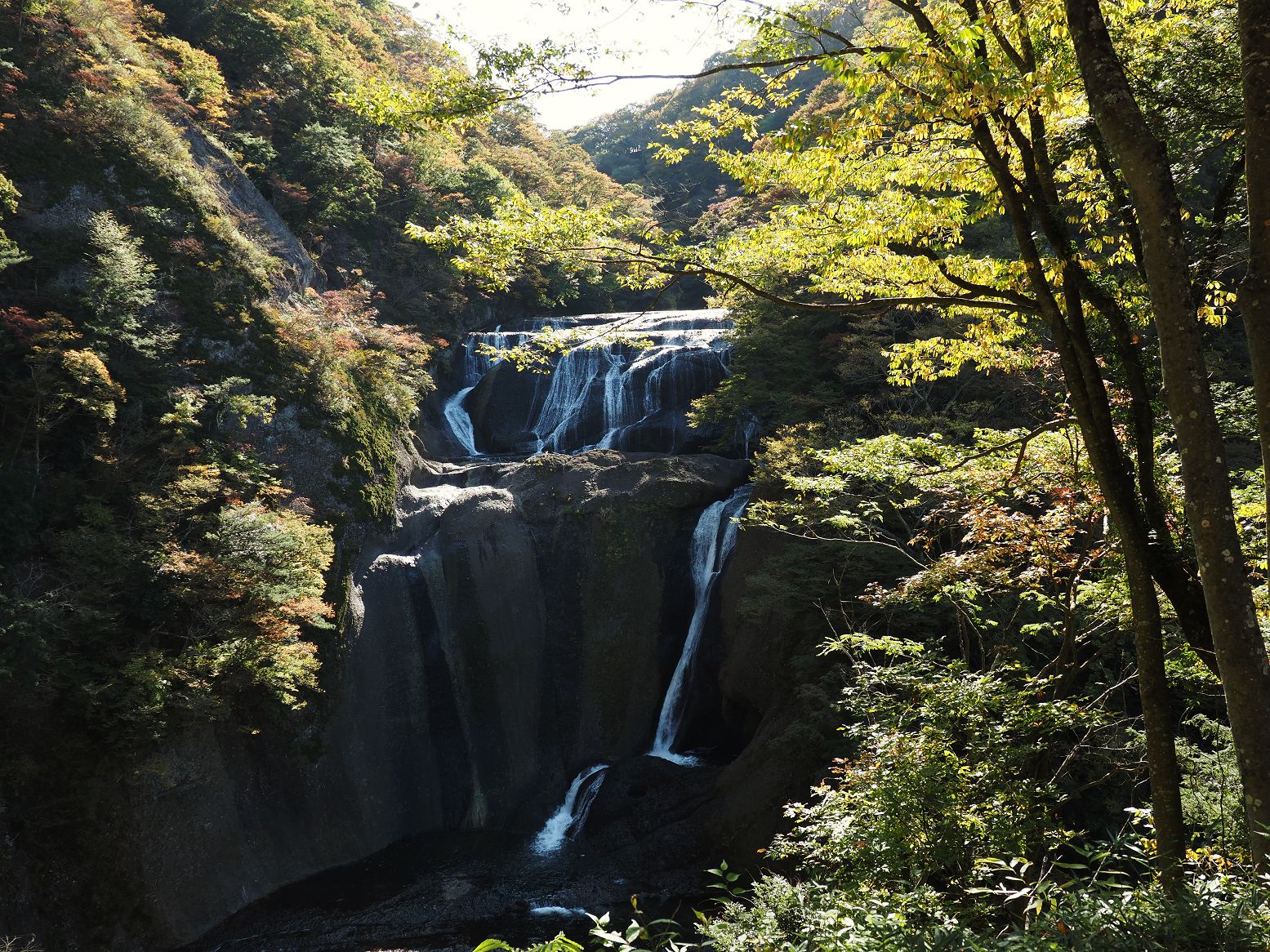 PA310072.jpg