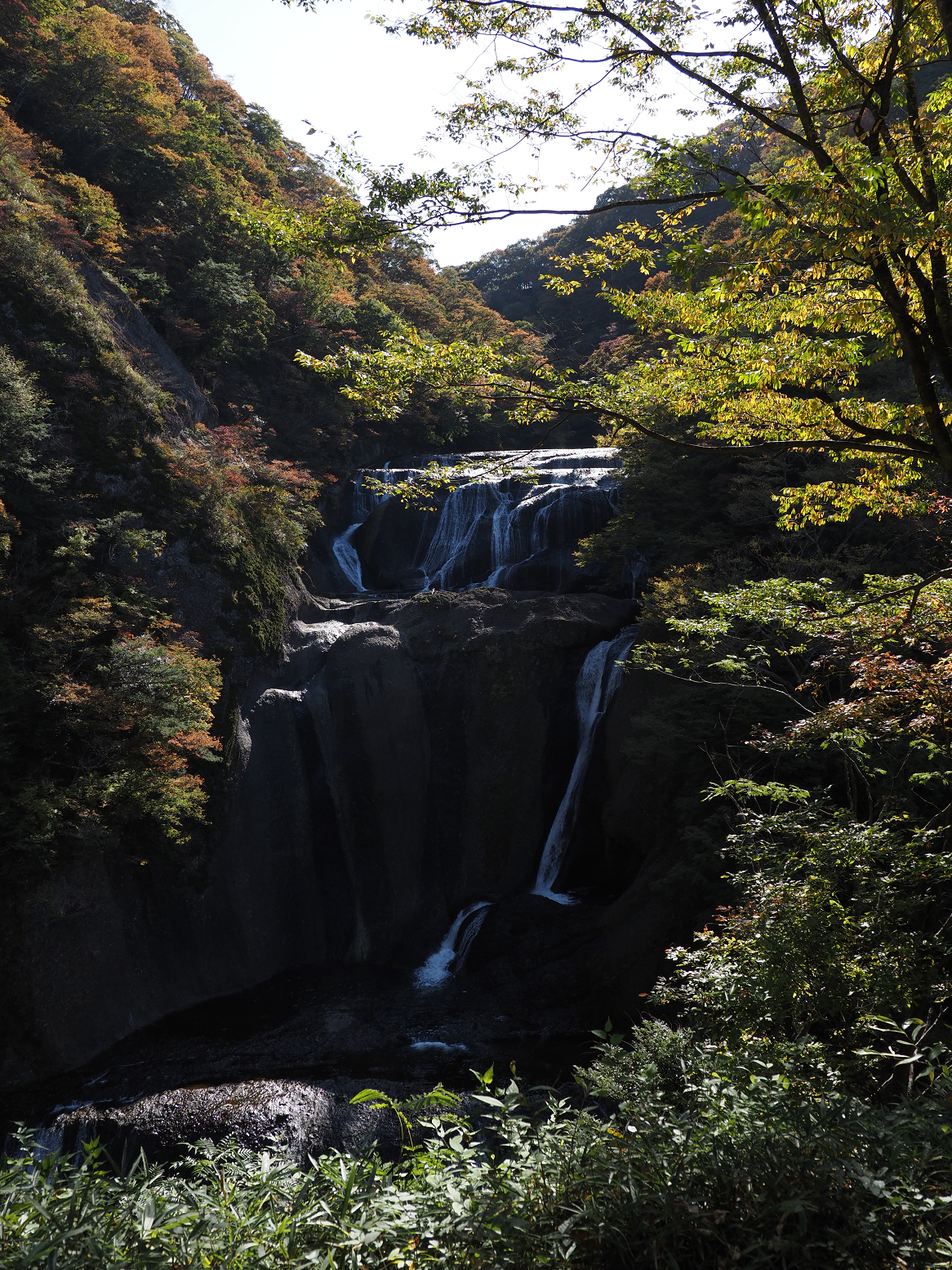 PA310073.jpg