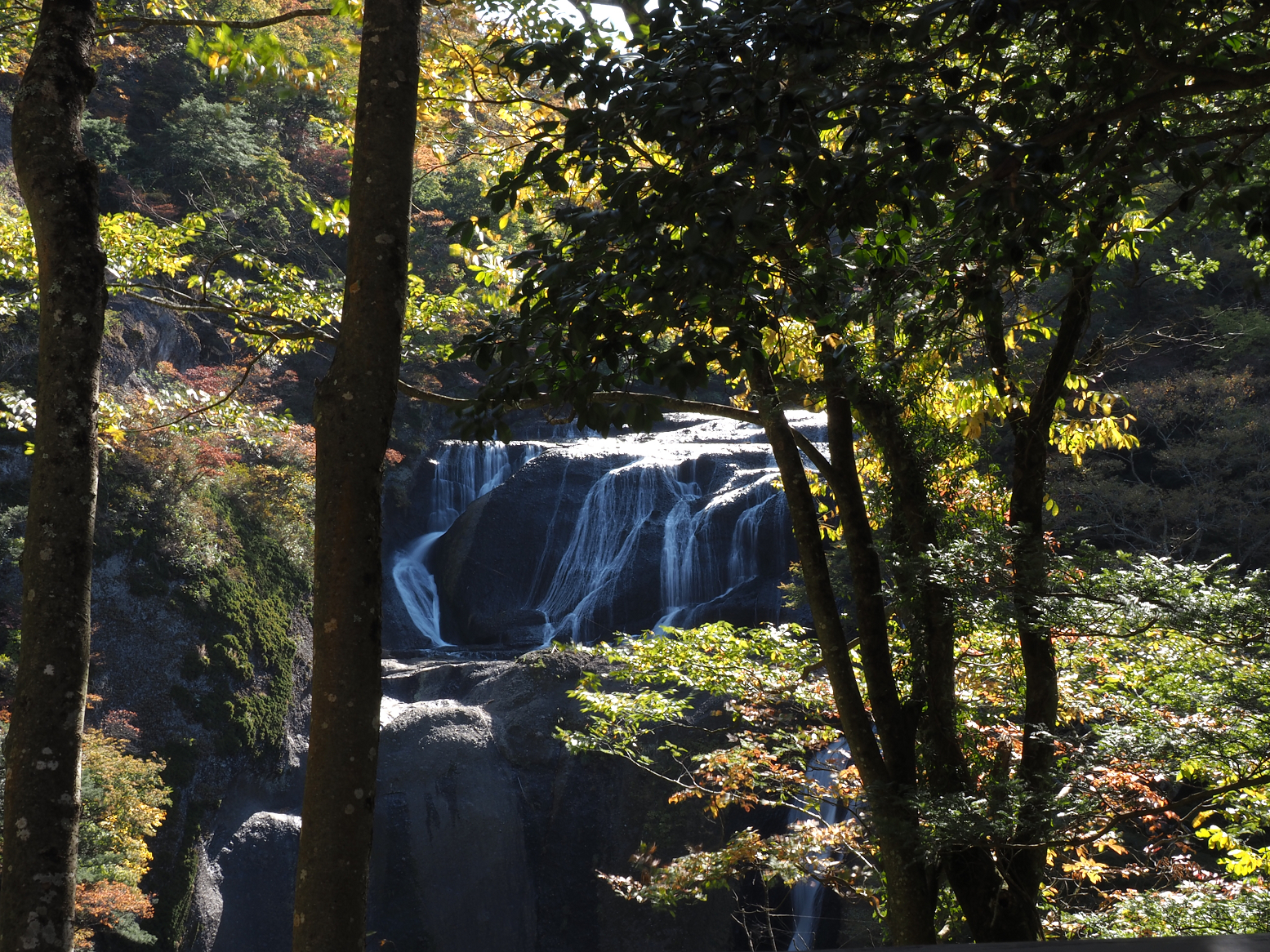 PA310092.jpg