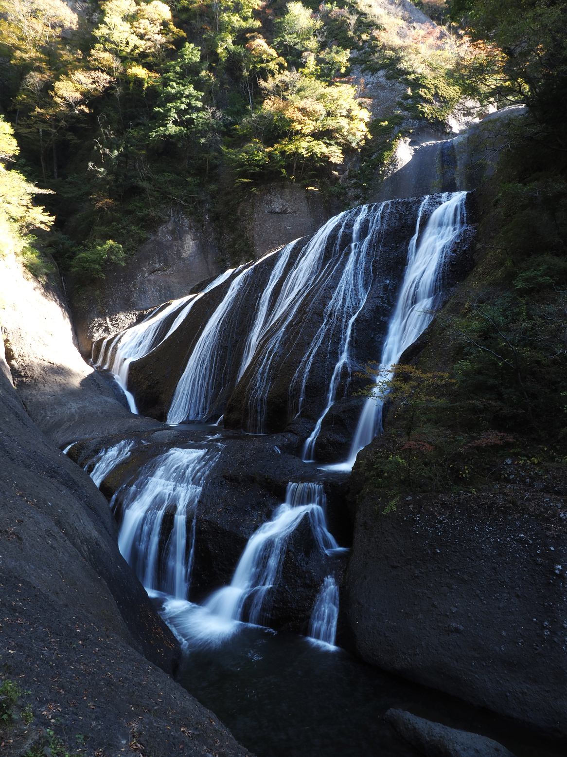 PA310093.jpg