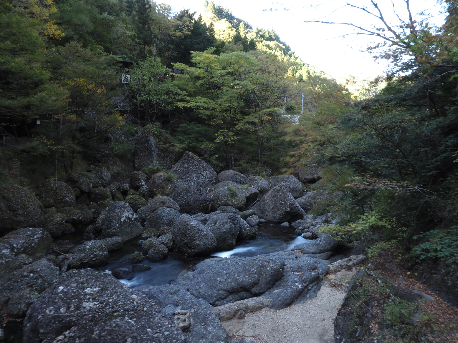 PA310096.jpg
