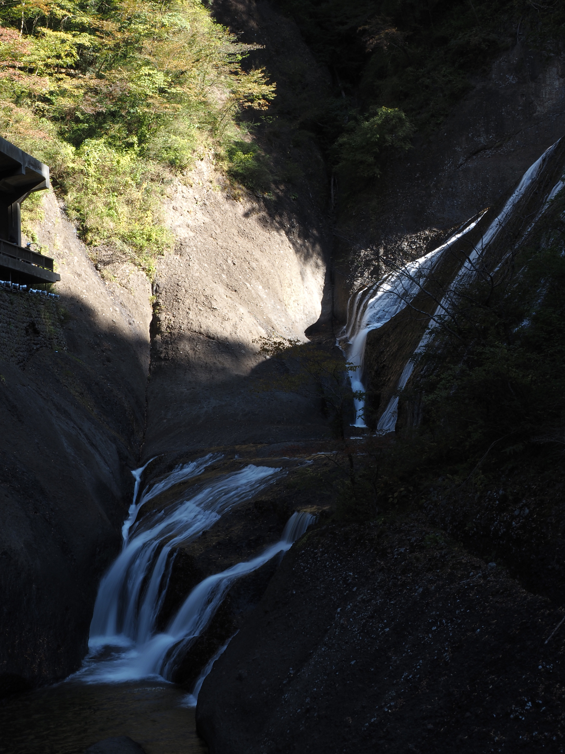 PA310098.jpg