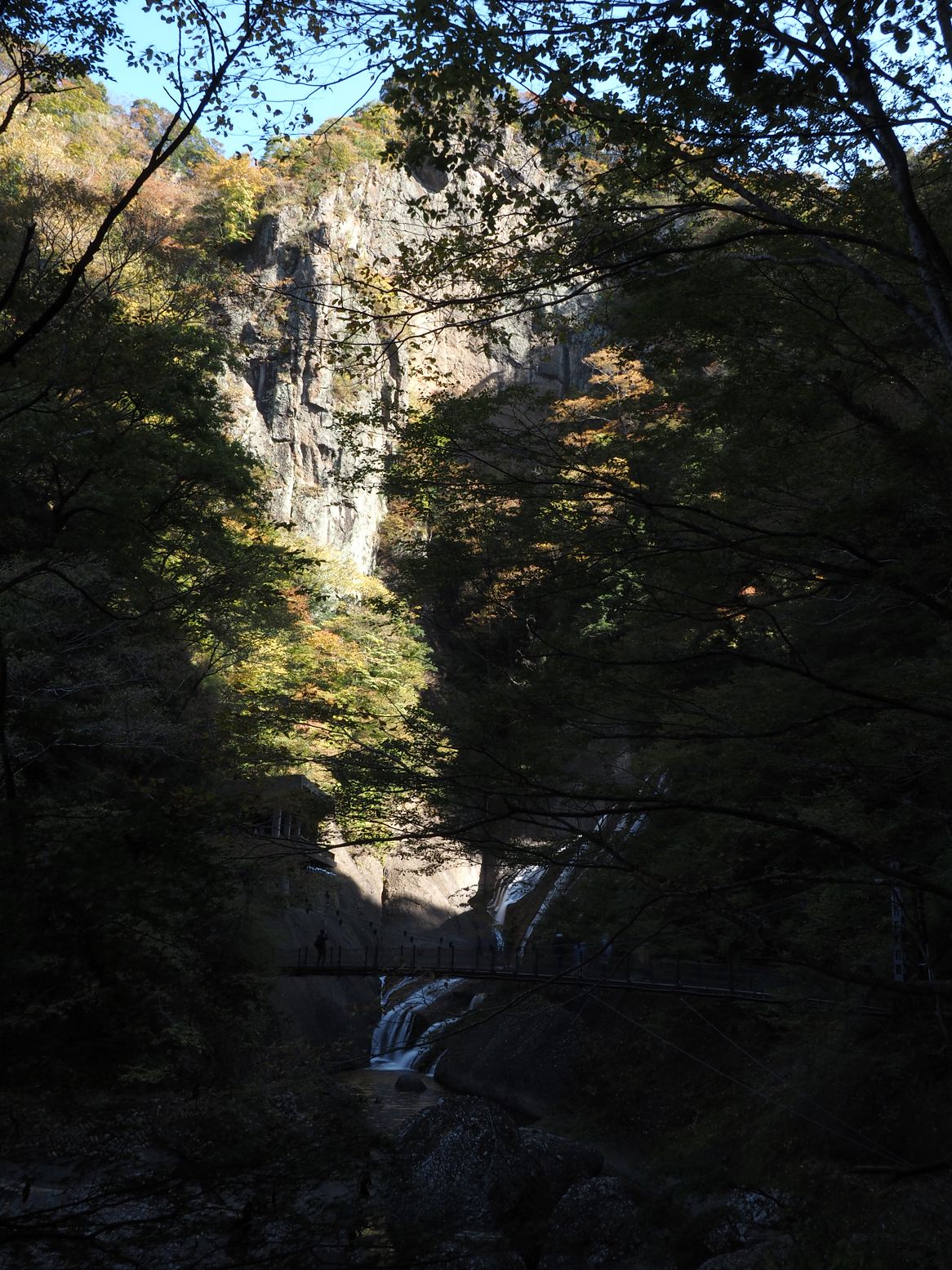 PA310100.jpg