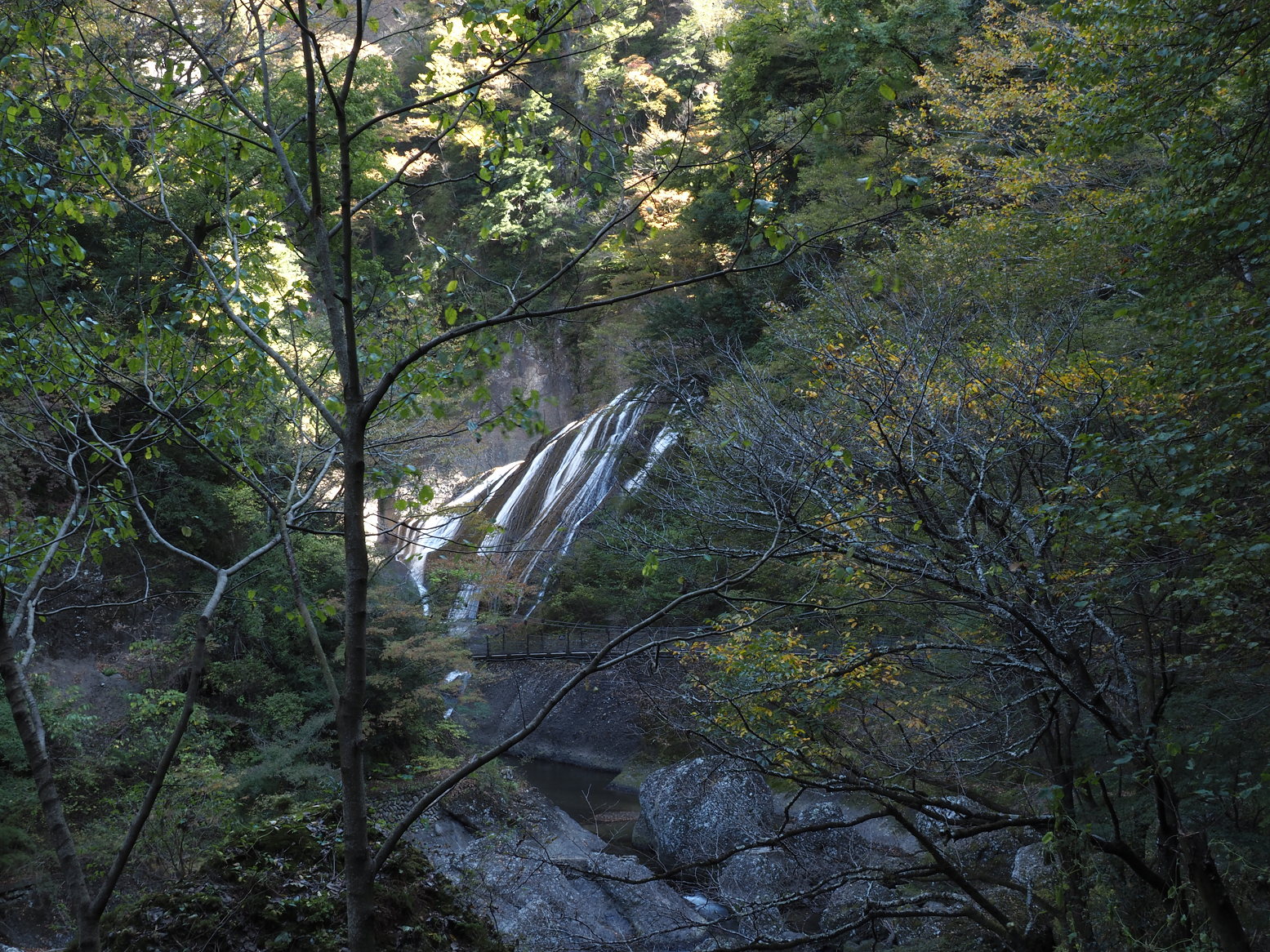 PA310101.jpg