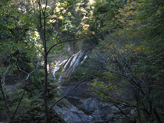 PA310101_thumb.png