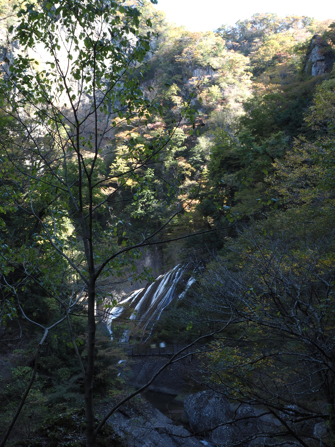 PA310102.jpg