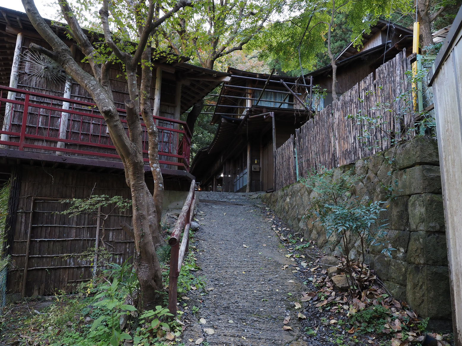 PA310103.jpg