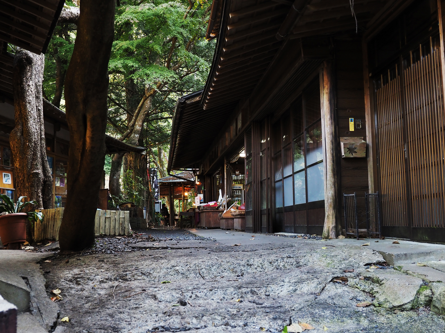 PA310104.jpg