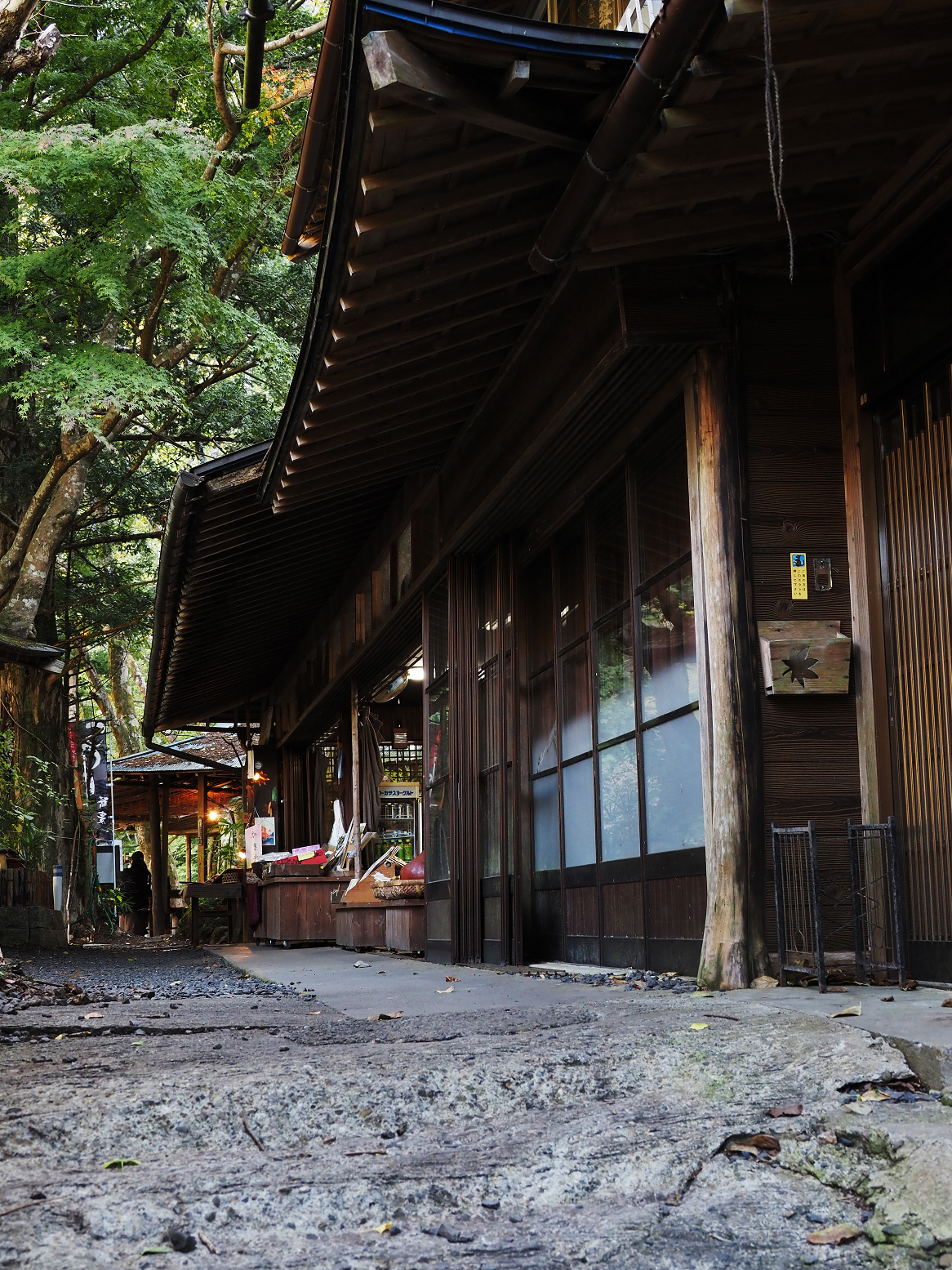 PA310105.jpg