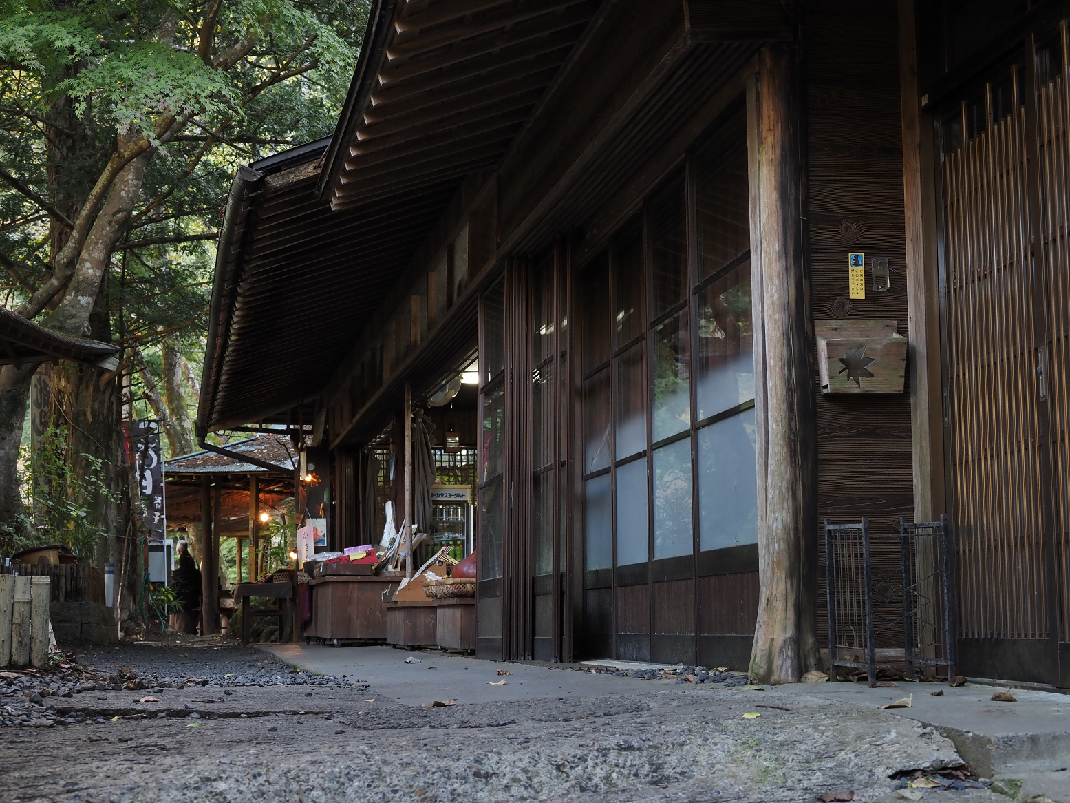 PA310106.jpg