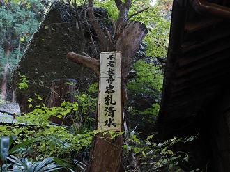 PA310107_thumb.png