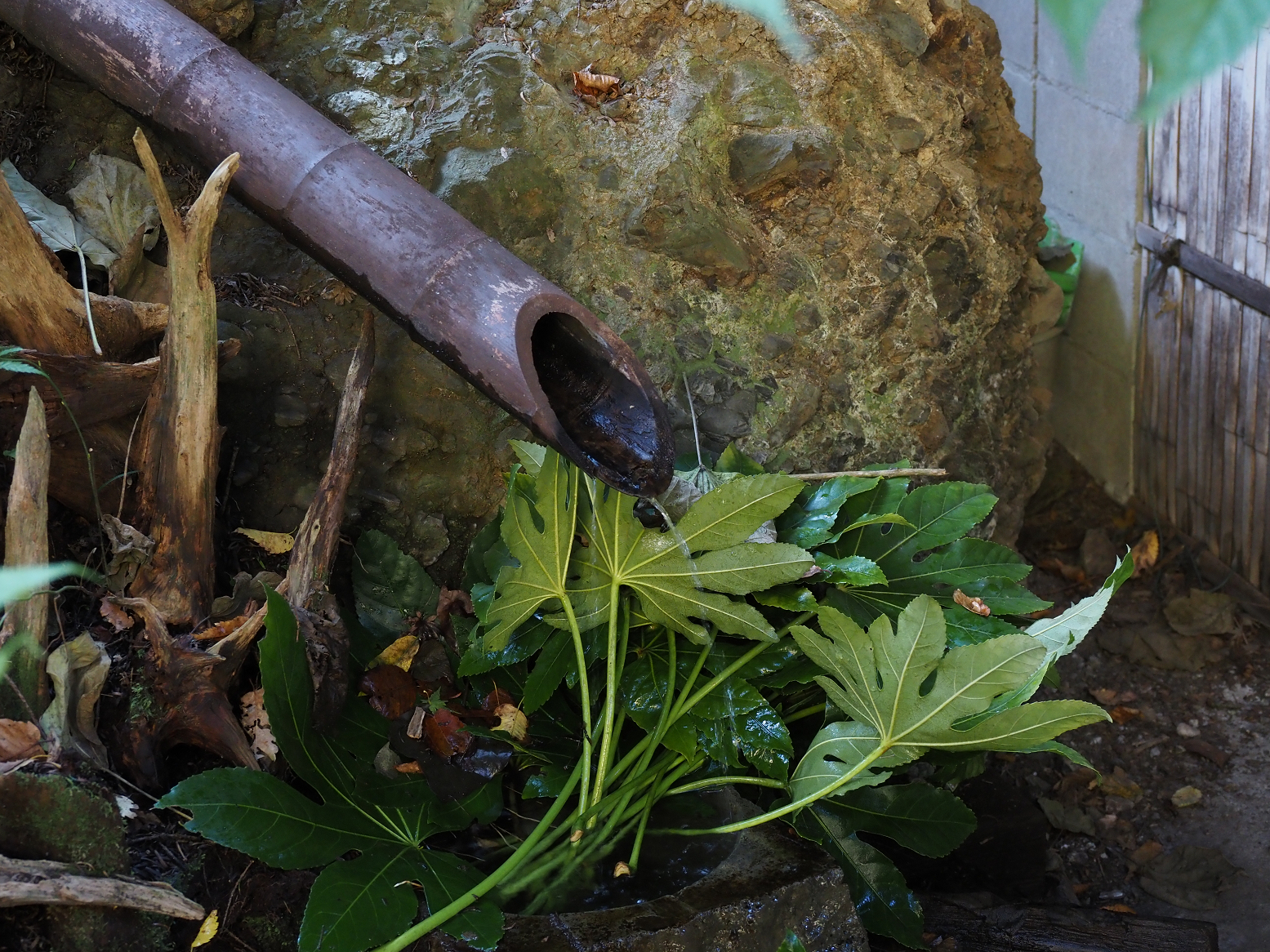 PA310108.jpg
