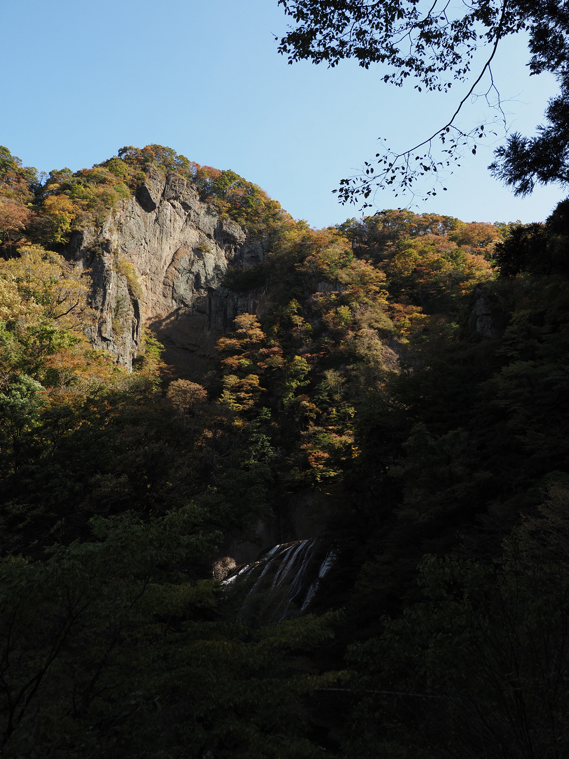 PA310109.jpg