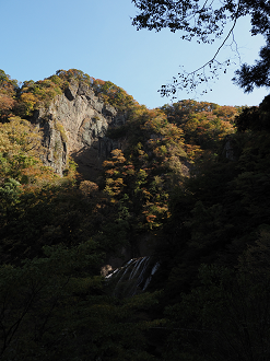 PA310109_thumb.png
