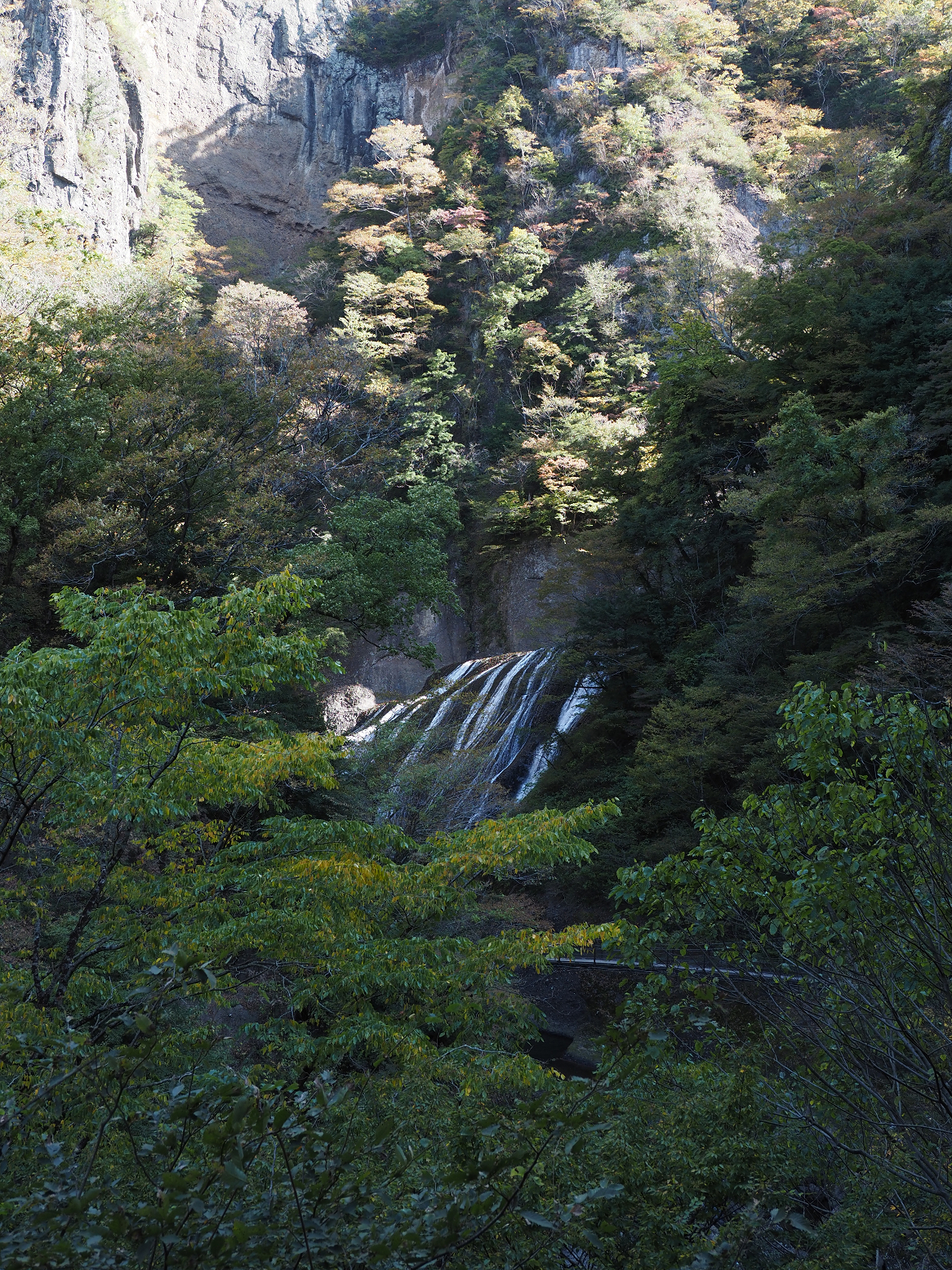 PA310110.jpg