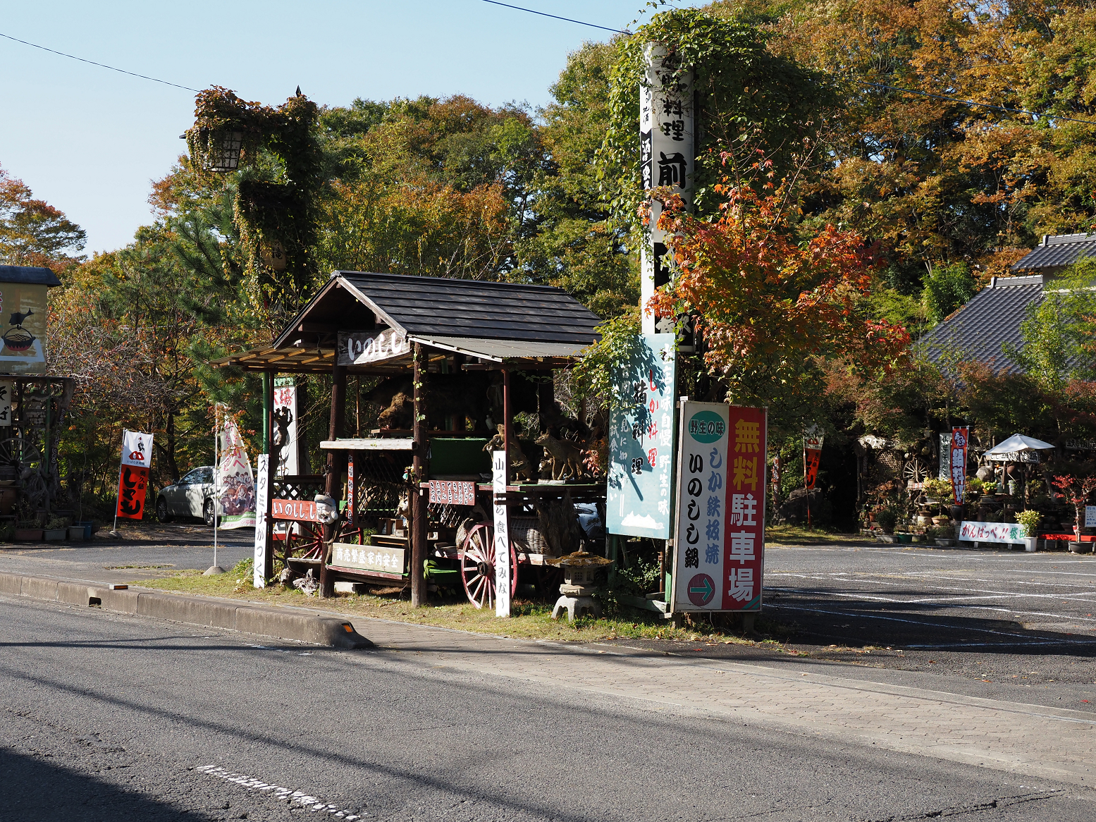 PA310129.jpg