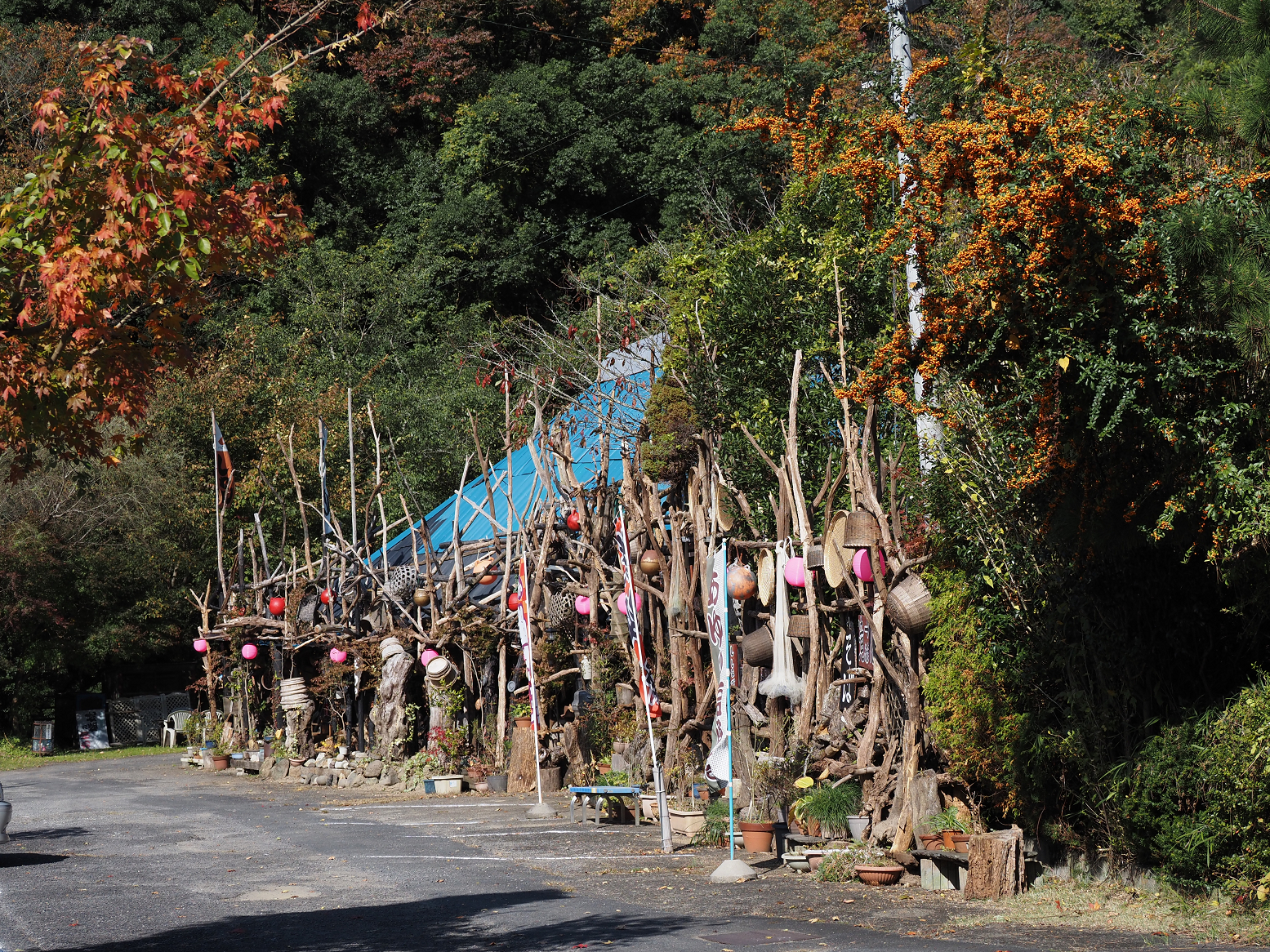 PA310130.jpg