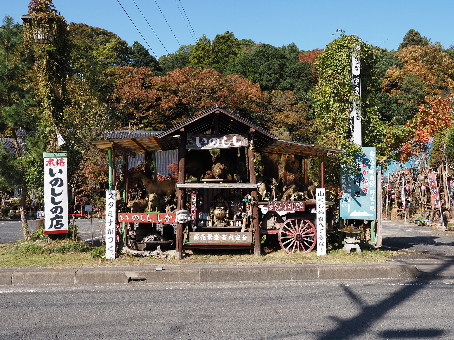 PA310131.jpg