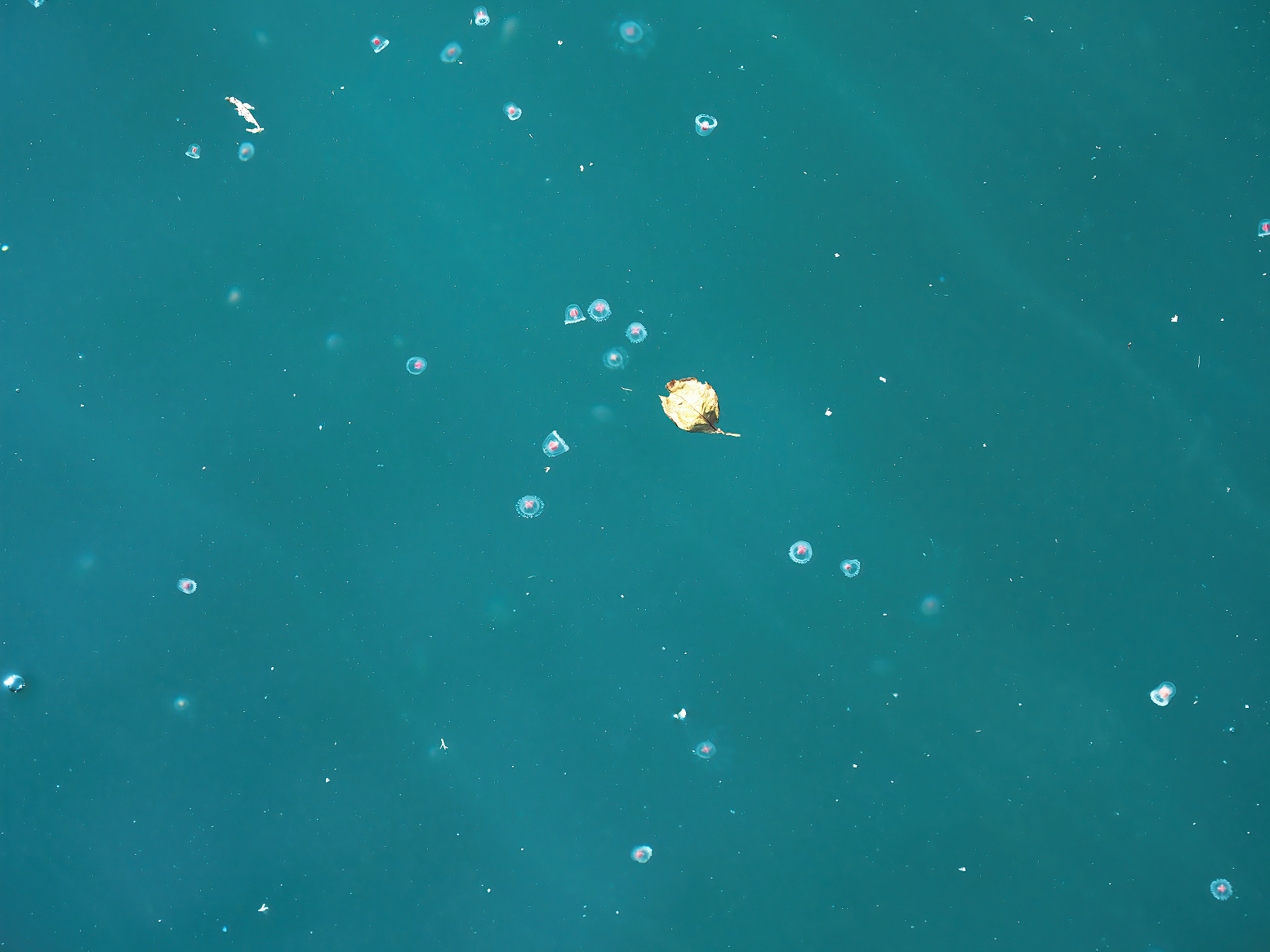 PA310154.jpg