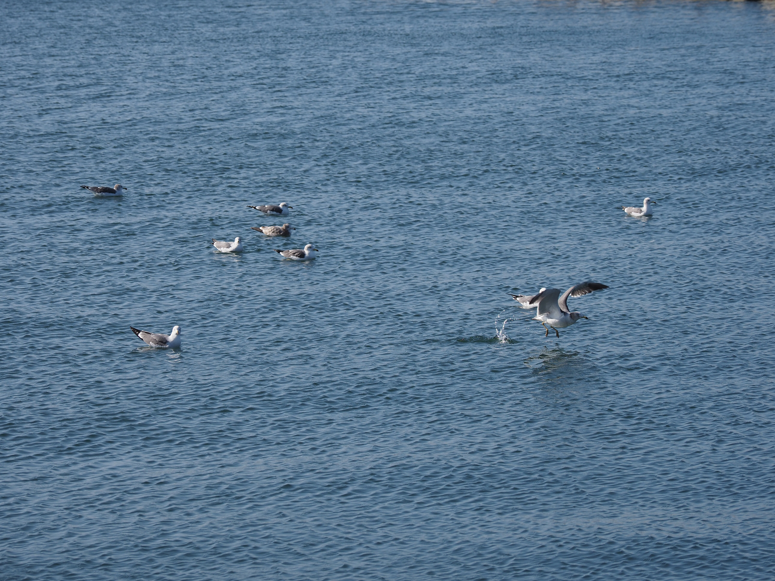 PA310155.jpg