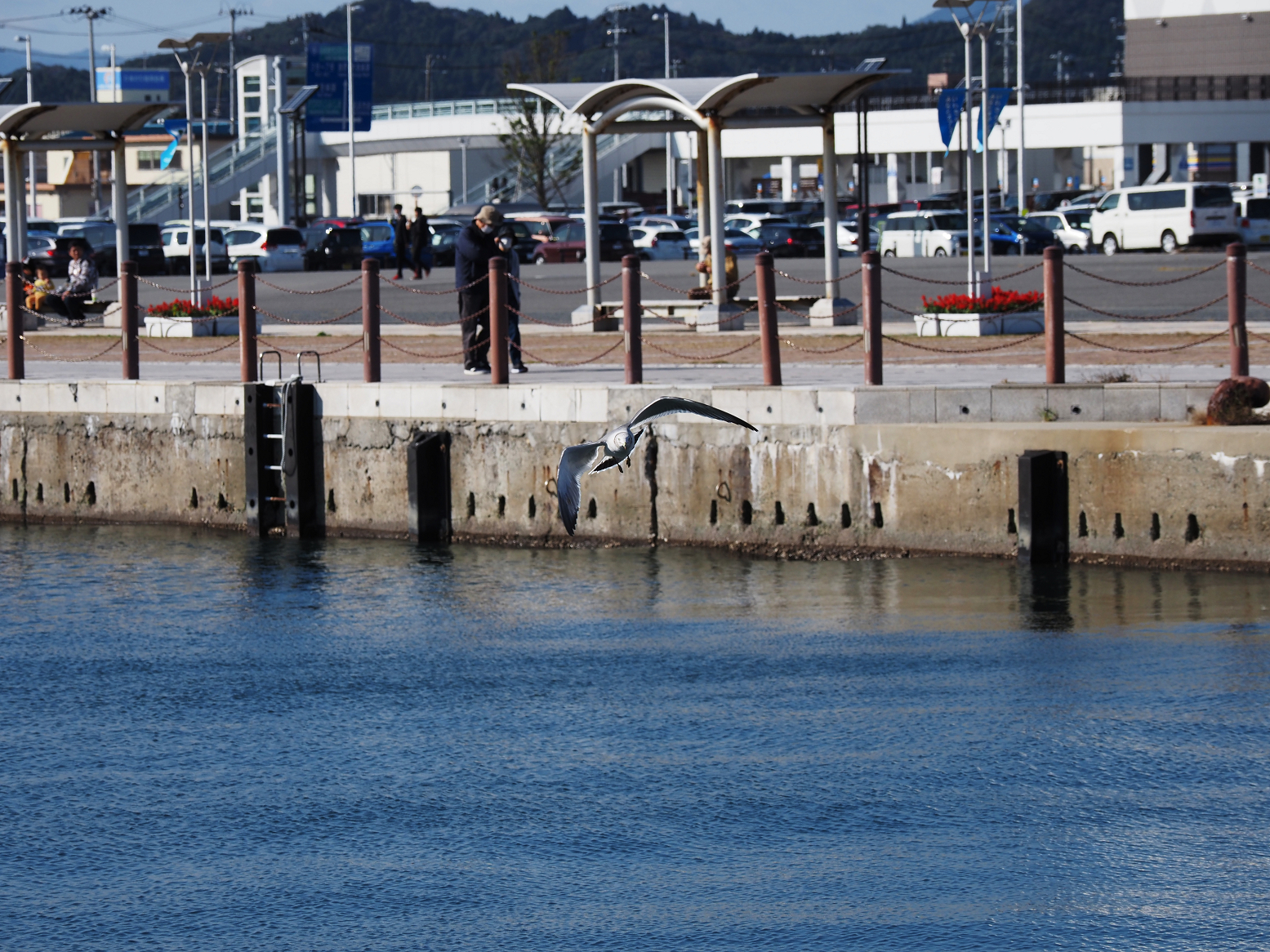 PA310156.jpg