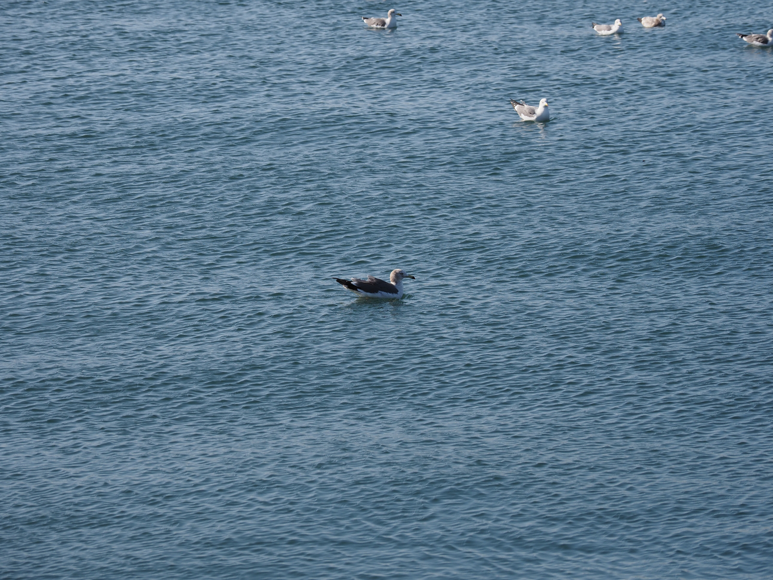 PA310158.jpg