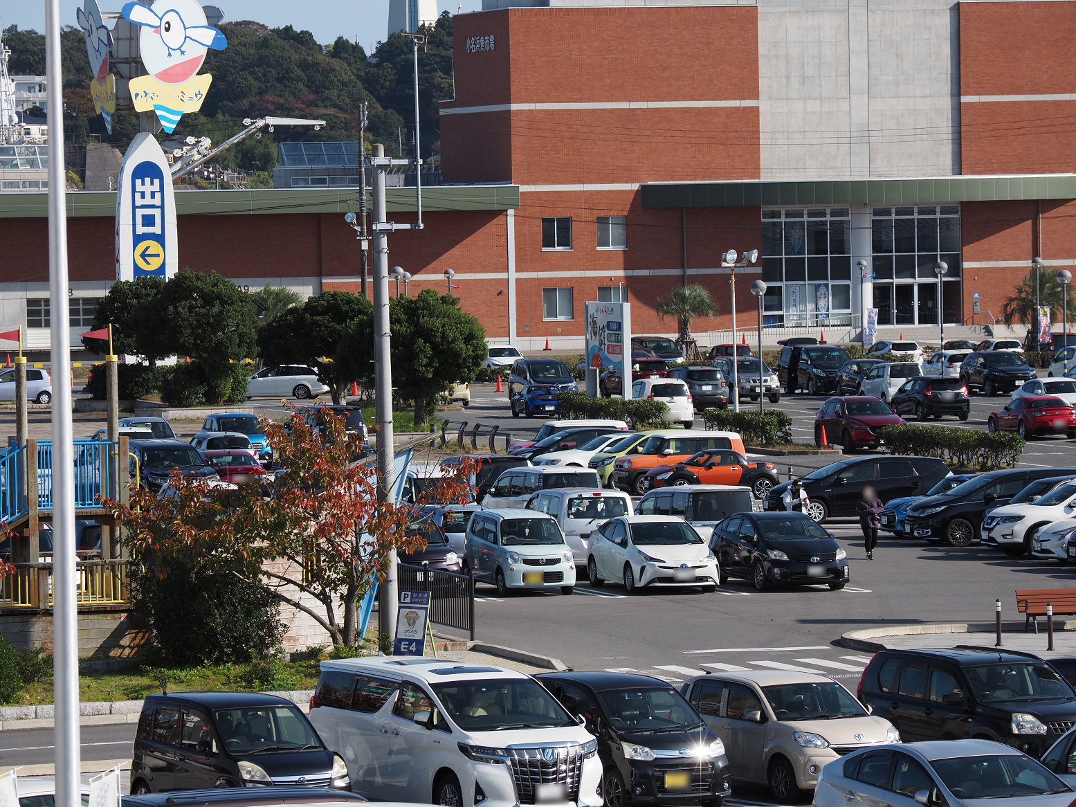 PA310166.jpg