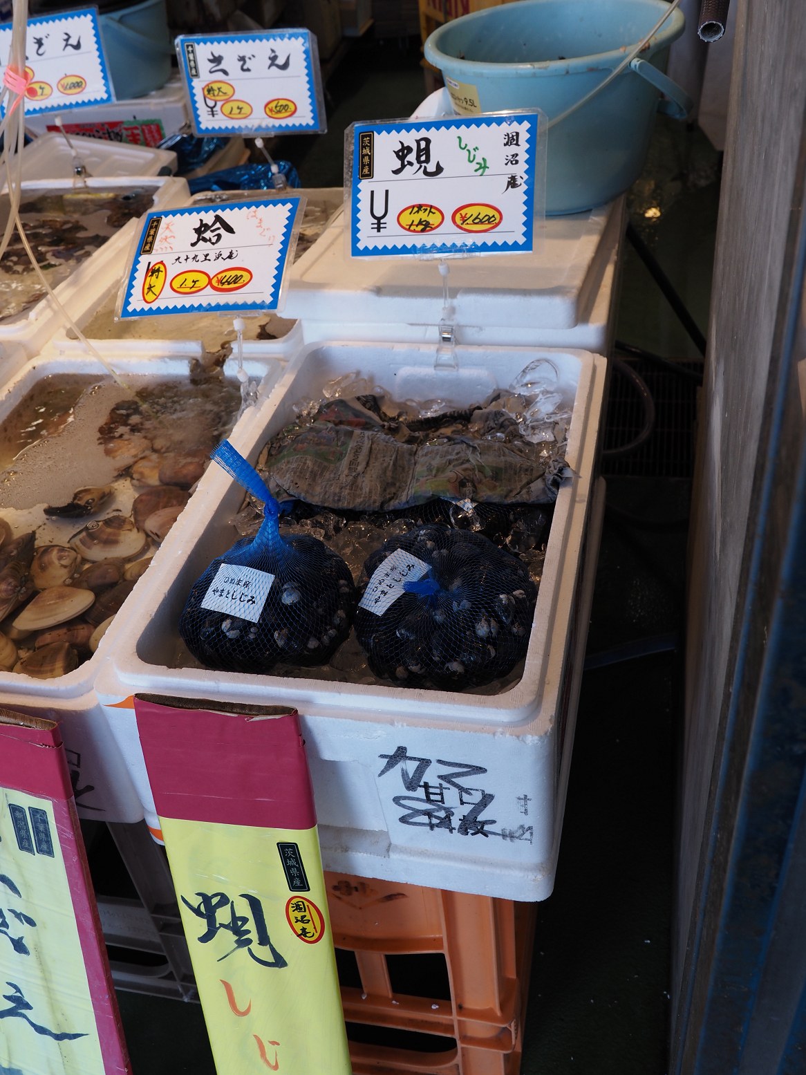 PA310177.jpg