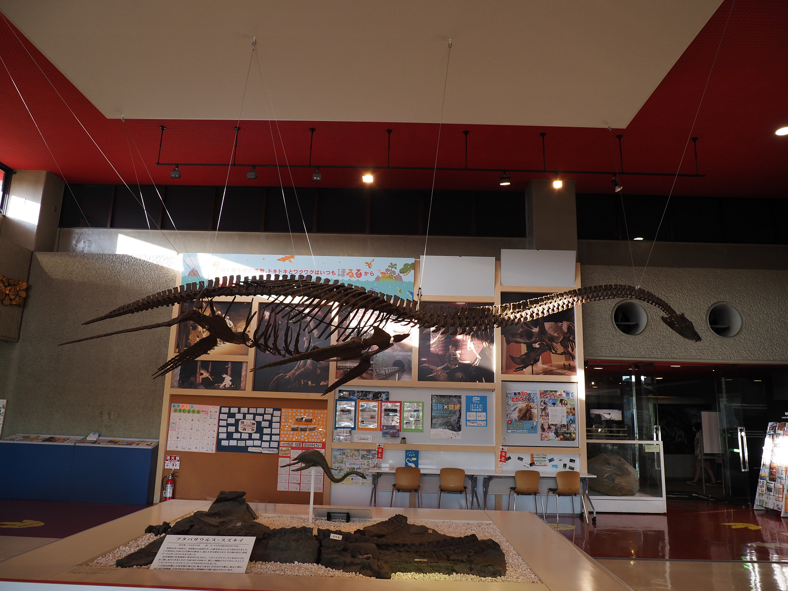 PA310205.jpg