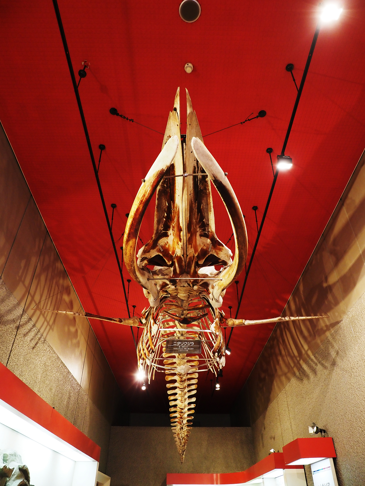 PA310206.jpg