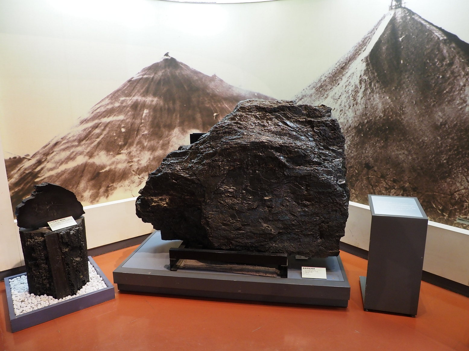 PA310210.jpg